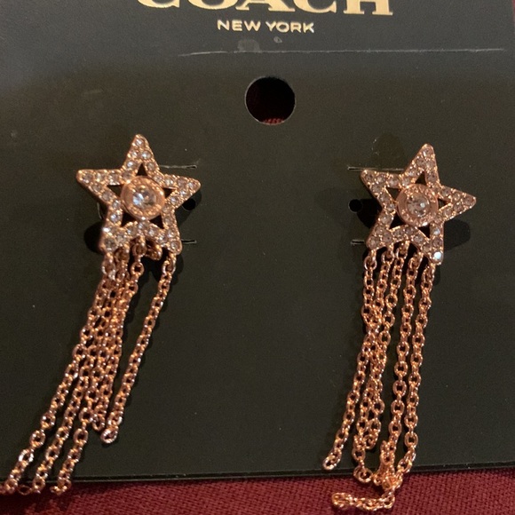 Bling🔥COACH EARRINGS - Picture 4 of 4